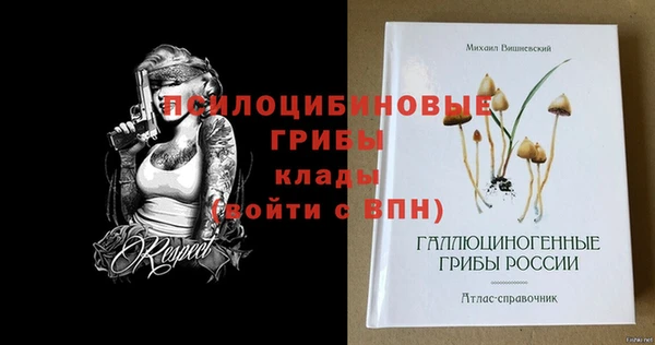 спиды Липки