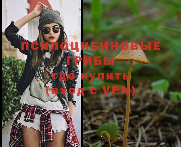 МДПВ Лиски